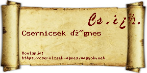 Csernicsek Ágnes névjegykártya