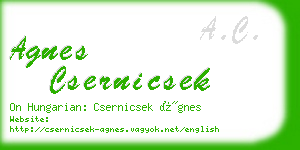 agnes csernicsek business card